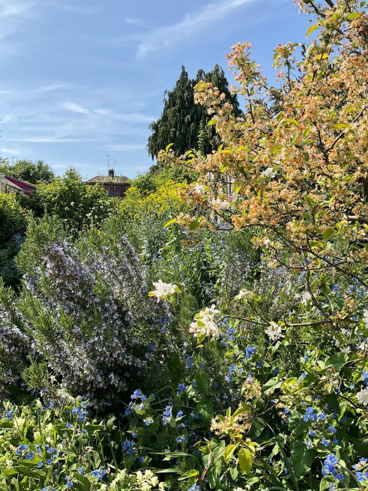 Terraced Garden House Stamford