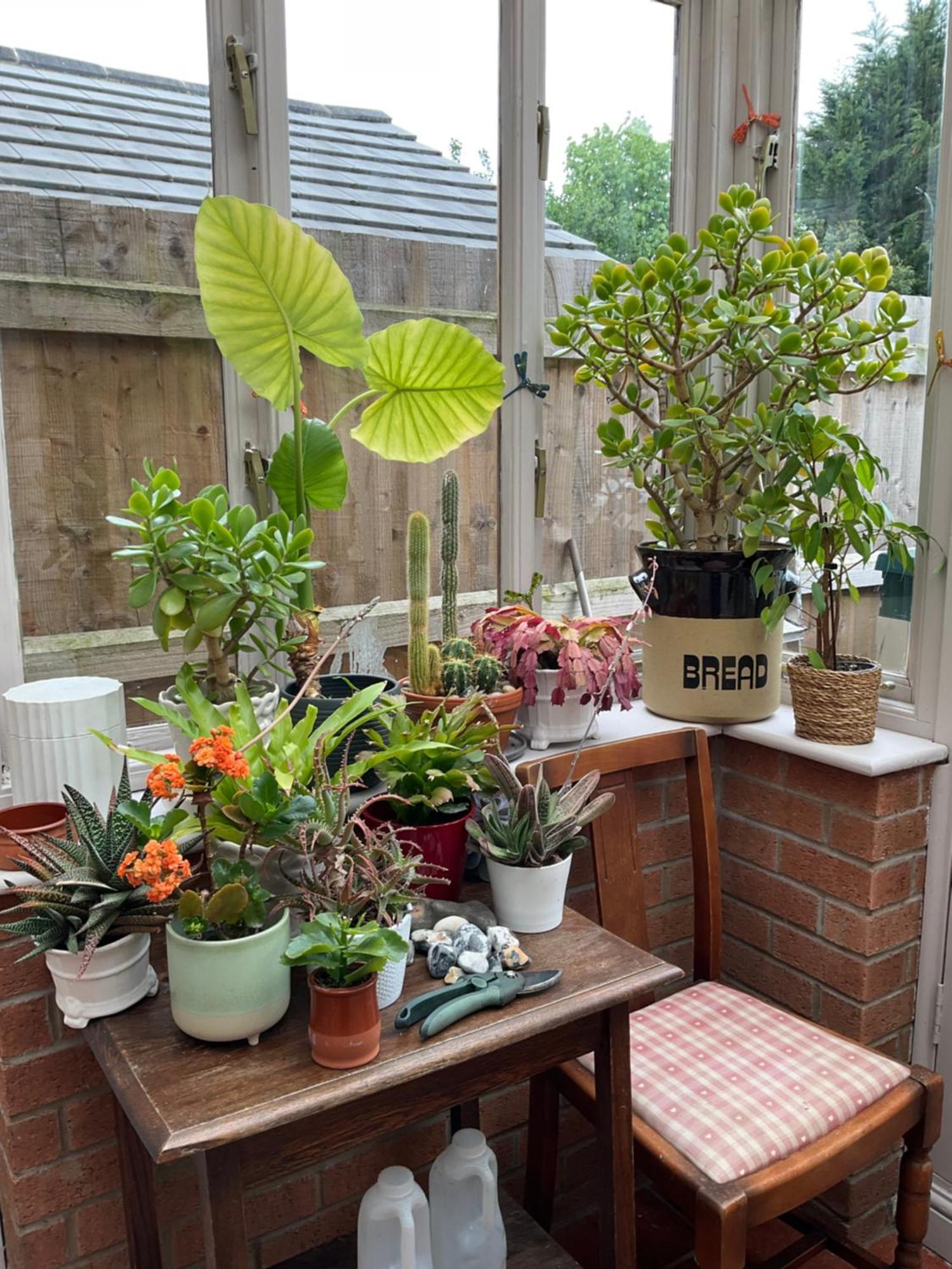 Terraced Garden House *